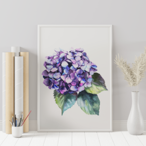 Elegant fine art print of watercolor hydrangea flower painting